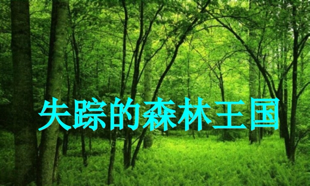 失踪的森林王国