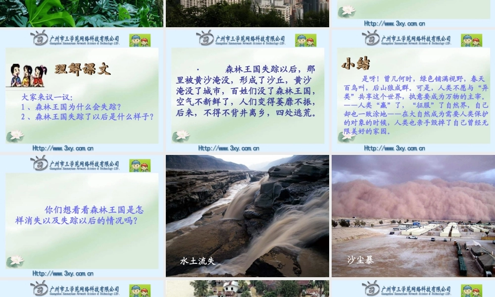 失踪的森林王国