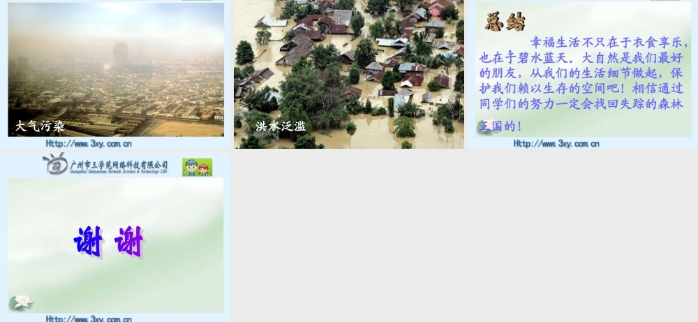 失踪的森林王国