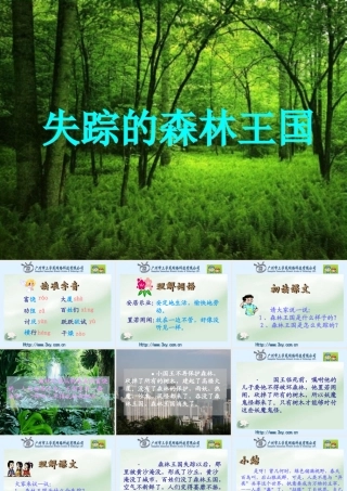 失踪的森林王国