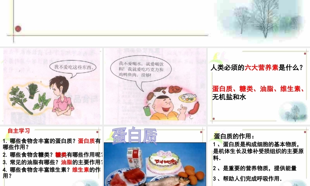 课题一人类重要的营养物质