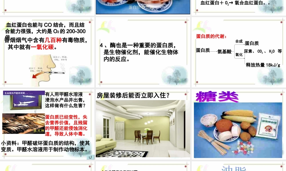 课题一人类重要的营养物质