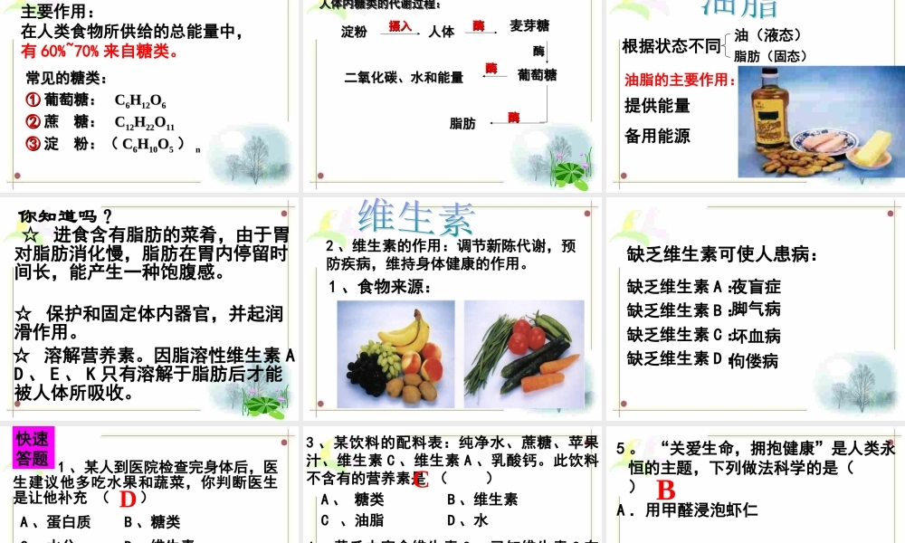 课题一人类重要的营养物质