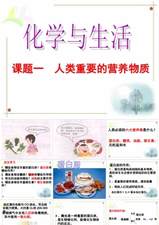 课题一人类重要的营养物质