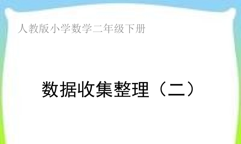 新人教版二年级数学下册数据收集整理(二)课件