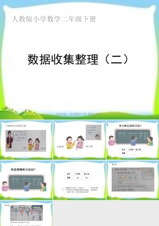 新人教版二年级数学下册数据收集整理(二)课件