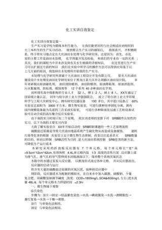 化工实训自我鉴定