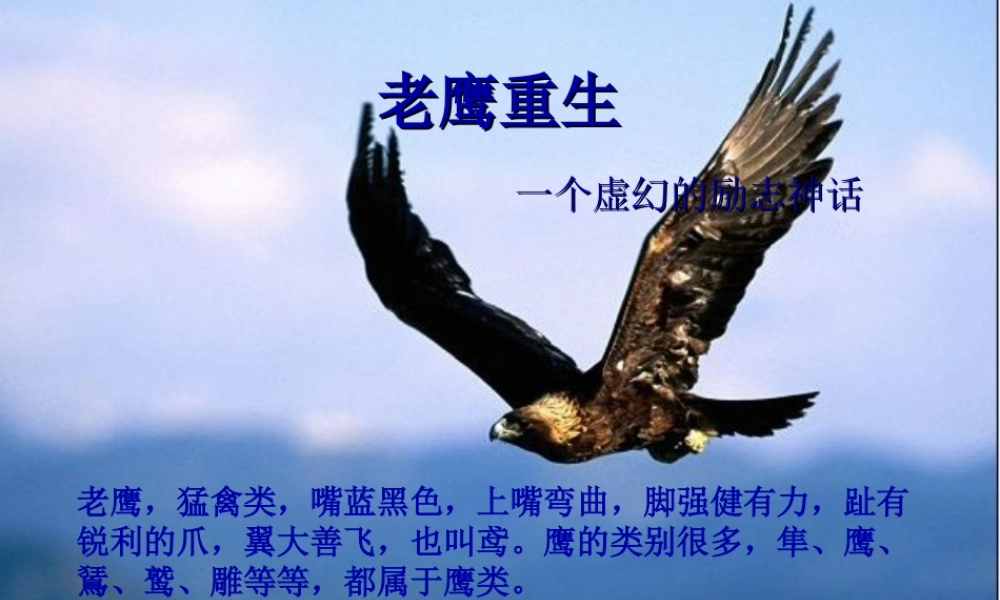 老鹰重生(励志故事)