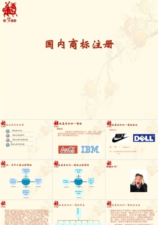 知识产权-国内商标注册(培训课件)