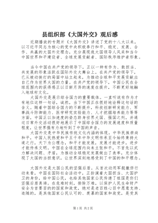 县组织部《大国外交》观后感