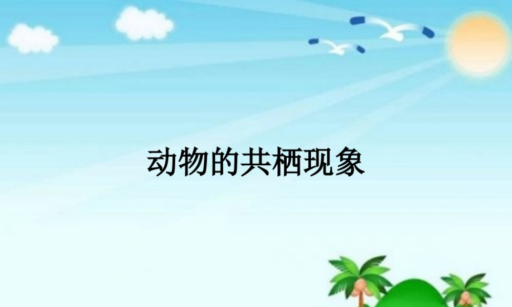动物的共栖现象
