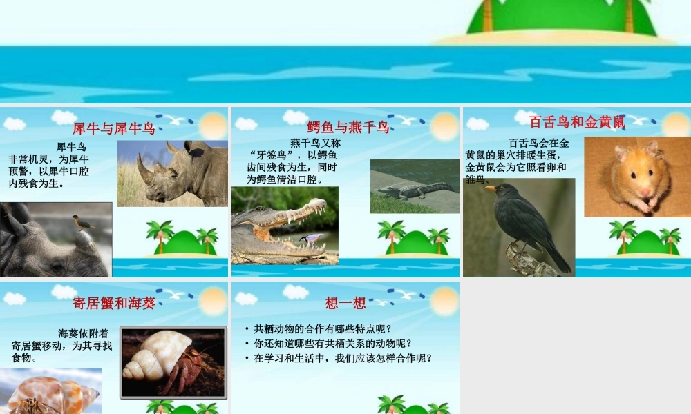 动物的共栖现象