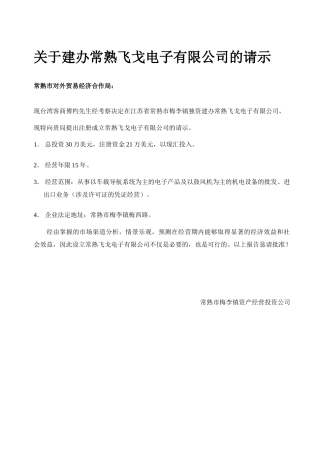 某电子有限公司可行性研究报告