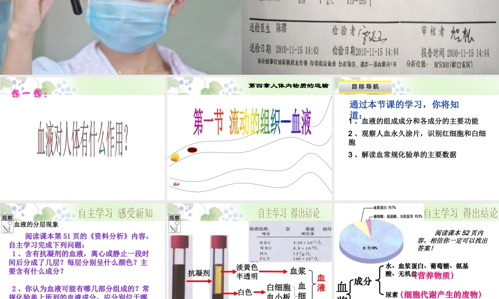 第一节流动的组织——血液