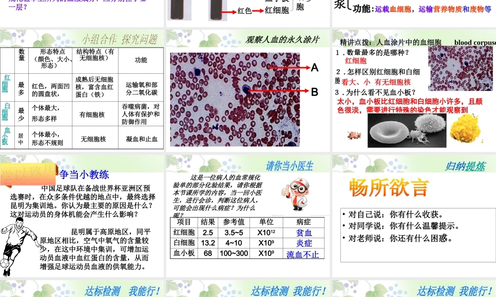 第一节流动的组织——血液