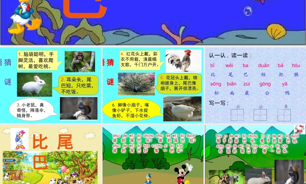 《比尾巴》课件1
