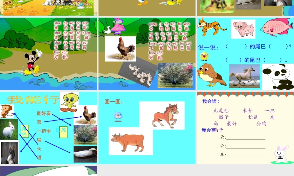 《比尾巴》课件1