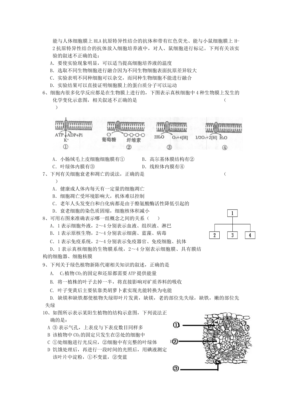 河北冀州中学XXXX-XXXX第一轮复习生物试题_第2页