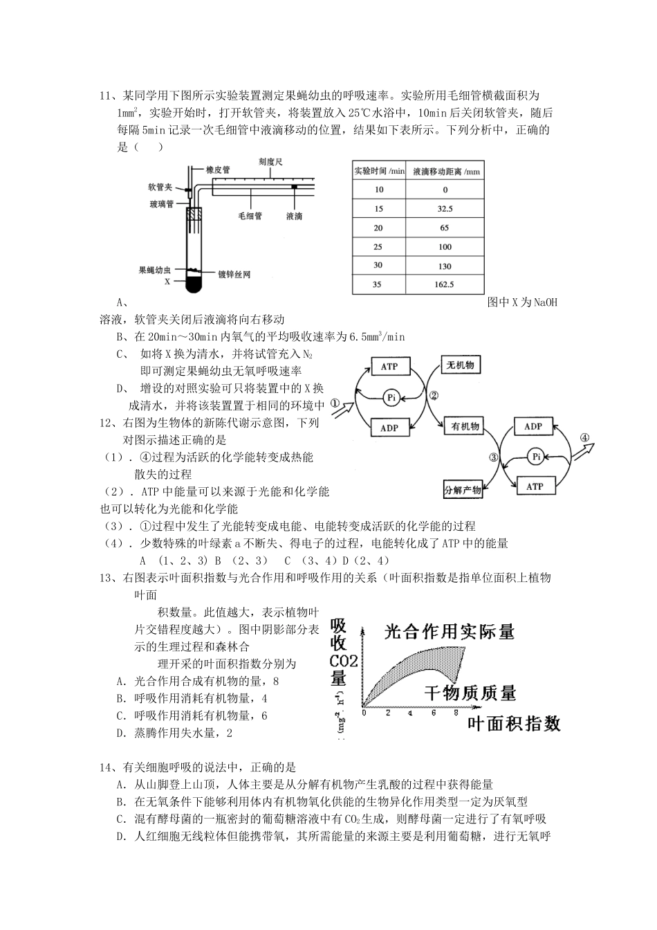 河北冀州中学XXXX-XXXX第一轮复习生物试题_第3页