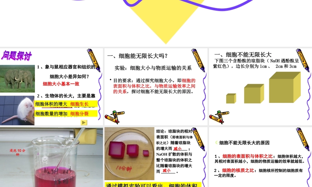 第六章细胞增殖