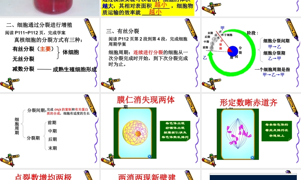 第六章细胞增殖