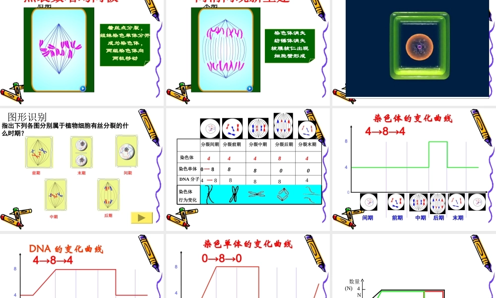 第六章细胞增殖