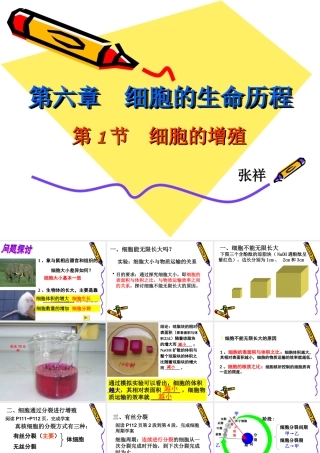 第六章细胞增殖