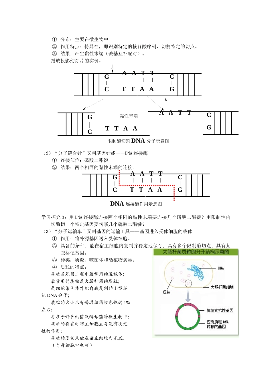 高中生物选修3《现代生物科技专题》教案全集_第3页