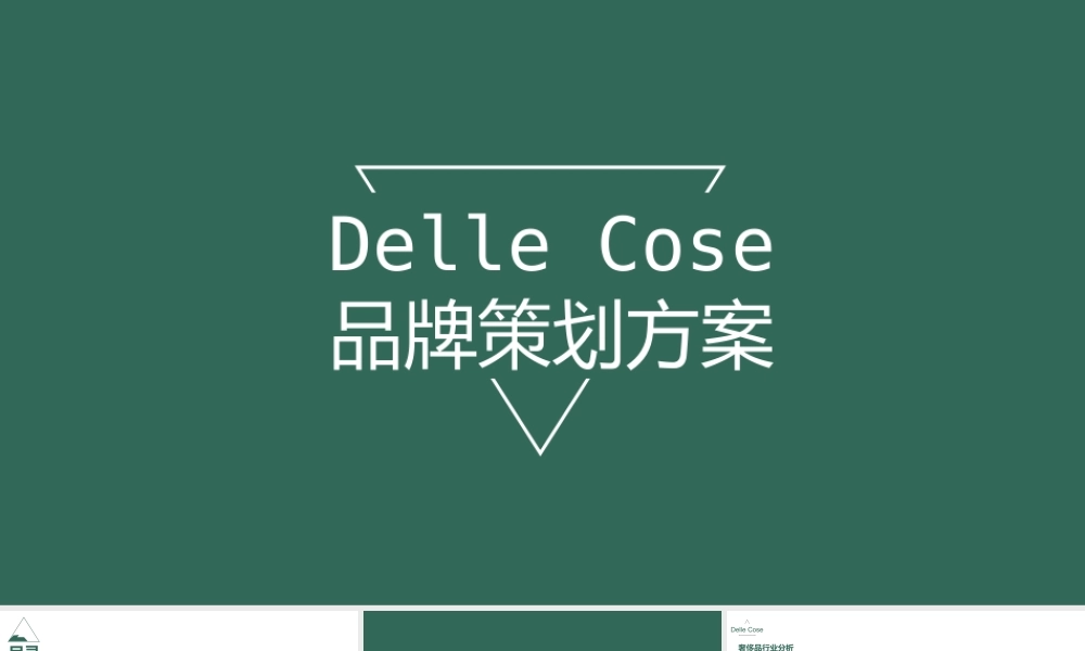 意大利Delle-Cose奢侈时尚品牌传播策划方案【精编版】