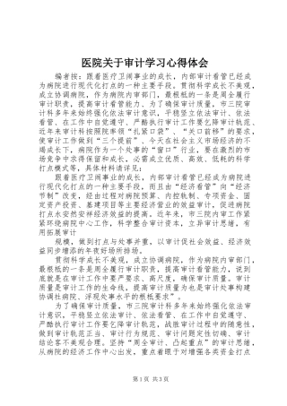 医院关于审计学习心得体会