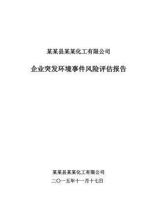 某某化工有限公司环境风险评估报告