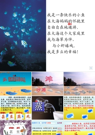 浅水洼里的小鱼3