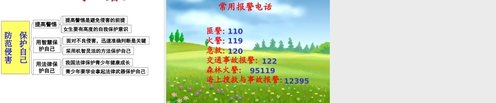 第九课保护自我课件1