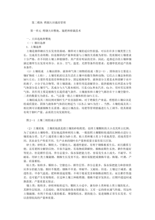 第二模块烤烟大田栽培管理