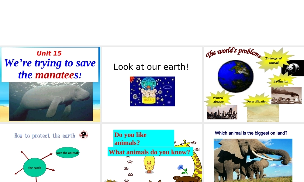 We’re-trying-to-save-the-manatees!2