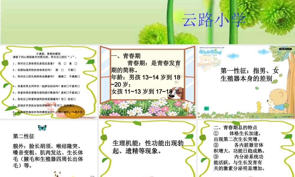 迎接多彩的青春(五、六年级男生)