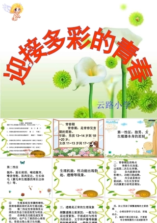 迎接多彩的青春(五、六年级男生)