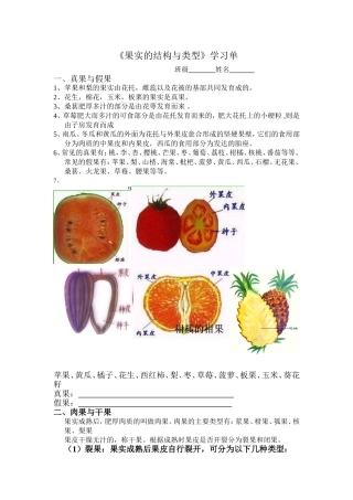果实的结构与类型