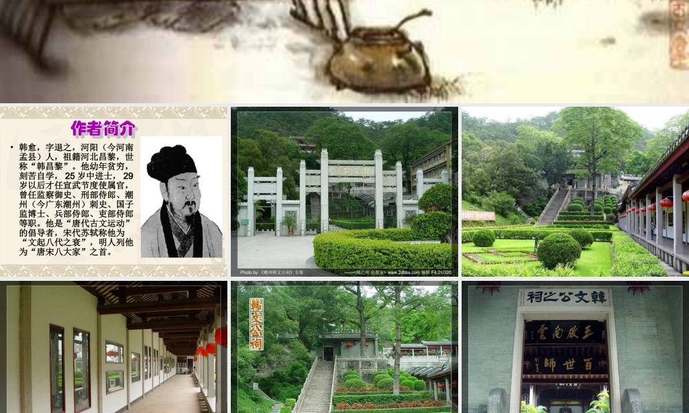 《师说》优秀课件