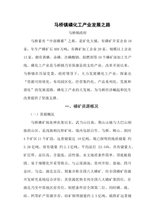 马桥磷化工产业发展之路(修改后)(1)
