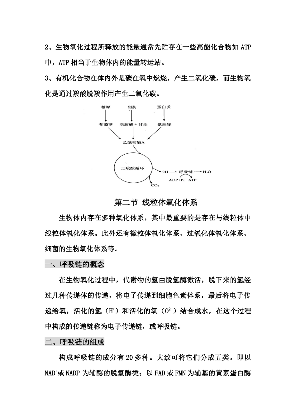 第七章生物氧化_第2页