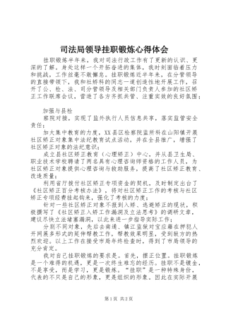 司法局领导挂职锻炼心得体会