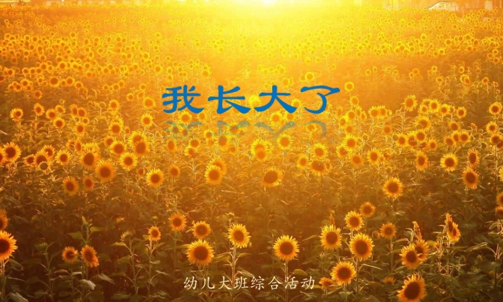幼儿园大班：我长大了(1)