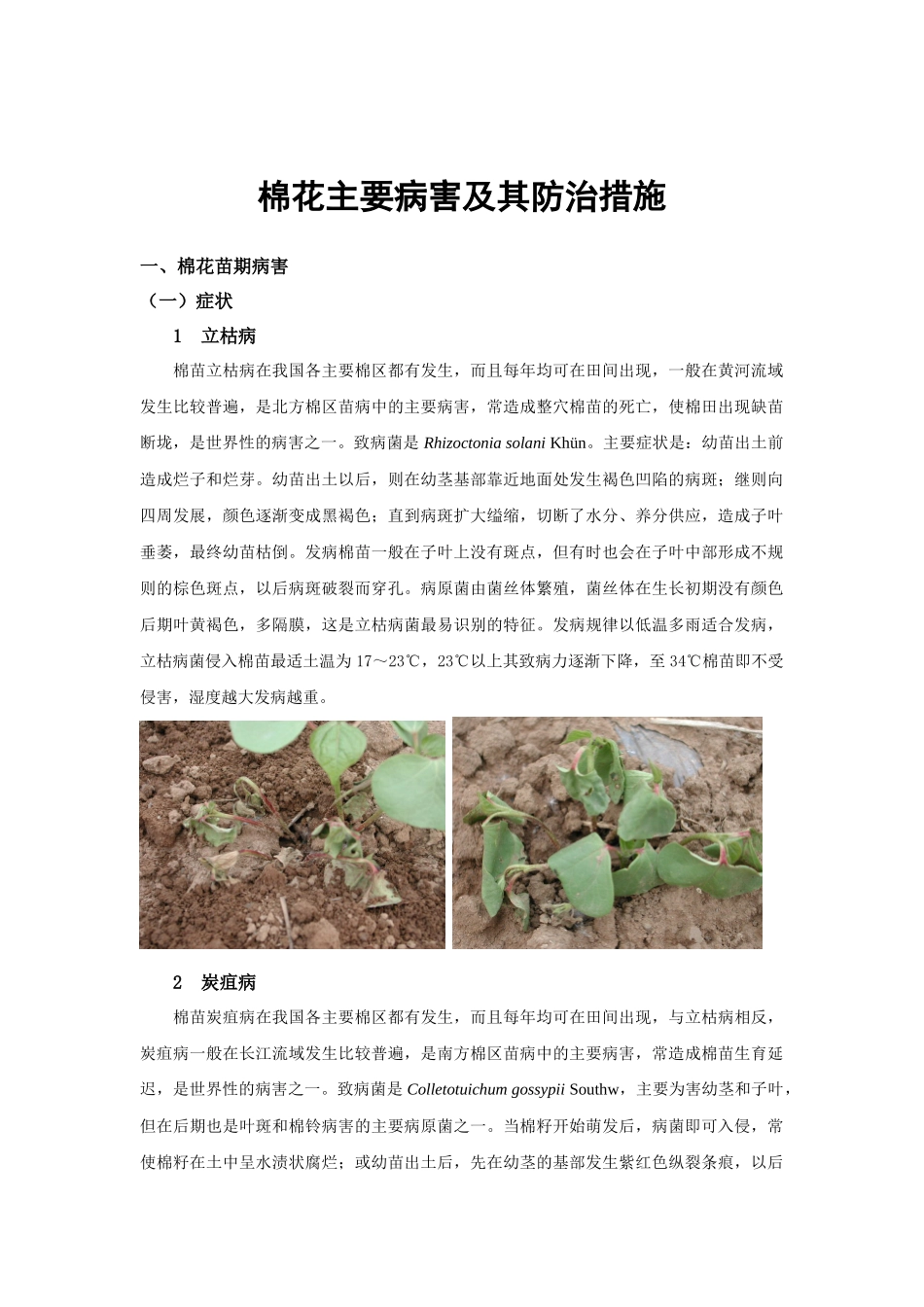 棉花主要病害及其防治措施_第1页