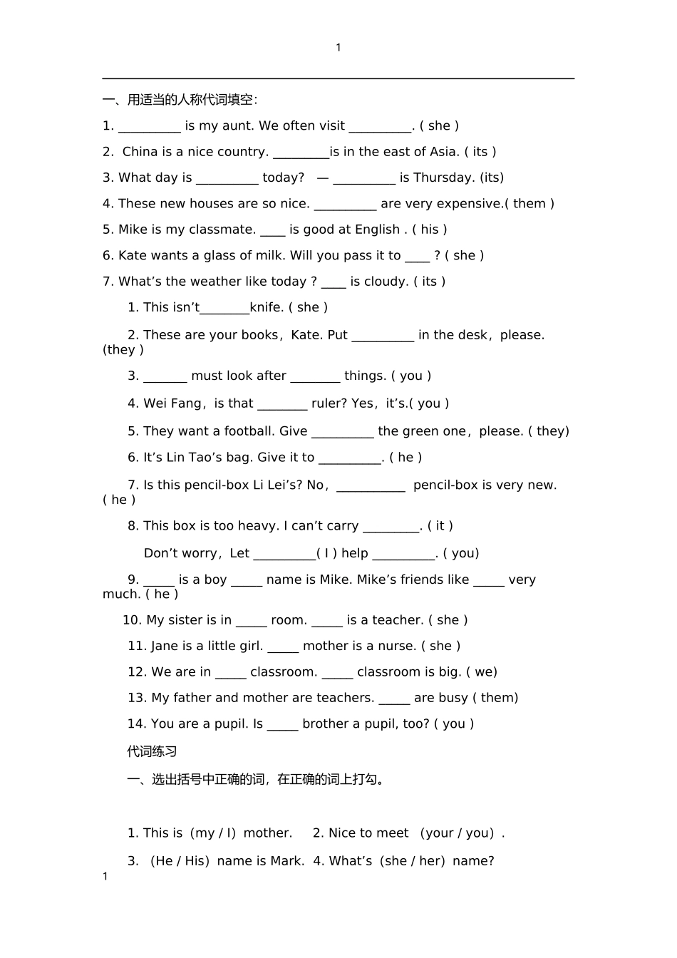 人称代词和名词练习文档_第1页