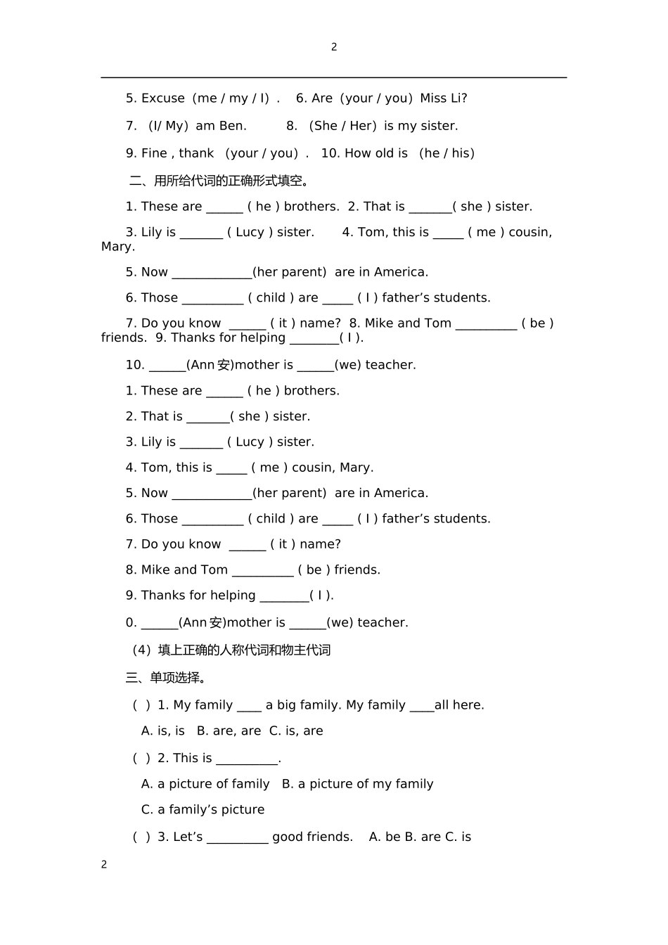 人称代词和名词练习文档_第2页