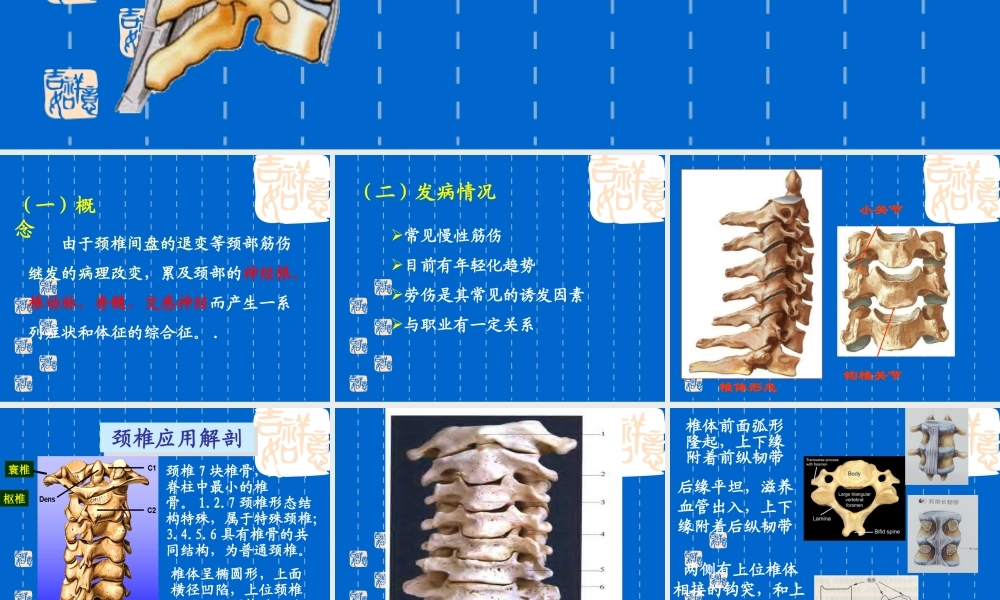 颈椎病---ppt课件