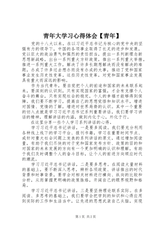 青年大学习心得体会【青年】