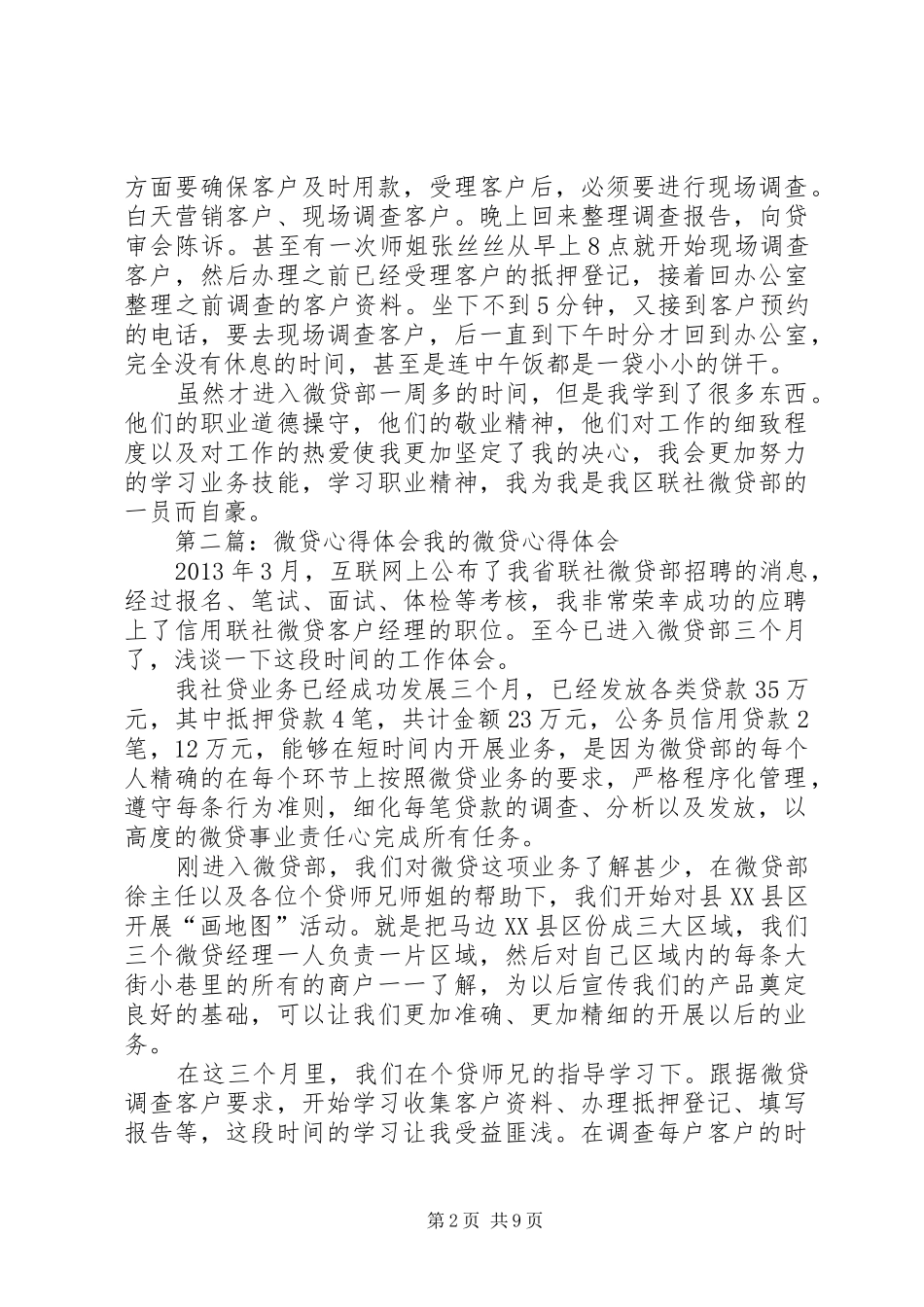 我的微贷心得体会_第2页