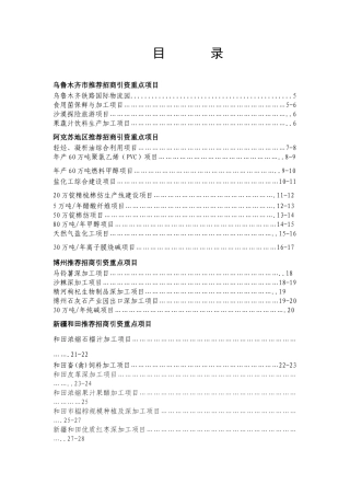 乌鲁木齐市推荐招商引资重点项目